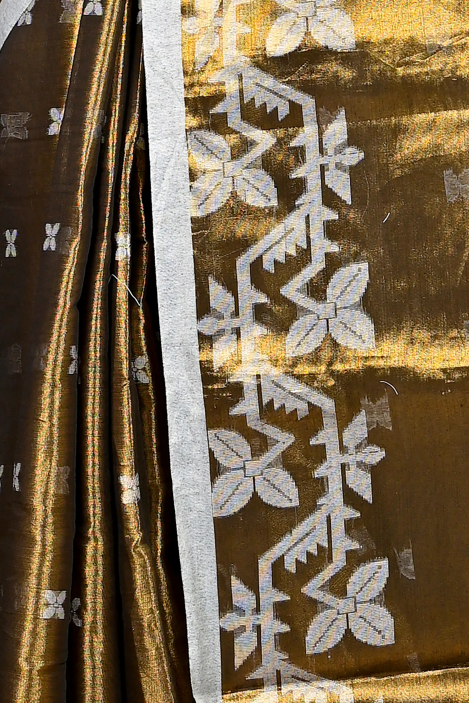 Brown Cotton Silk Parashar Tissue Jamdani Saree (292)